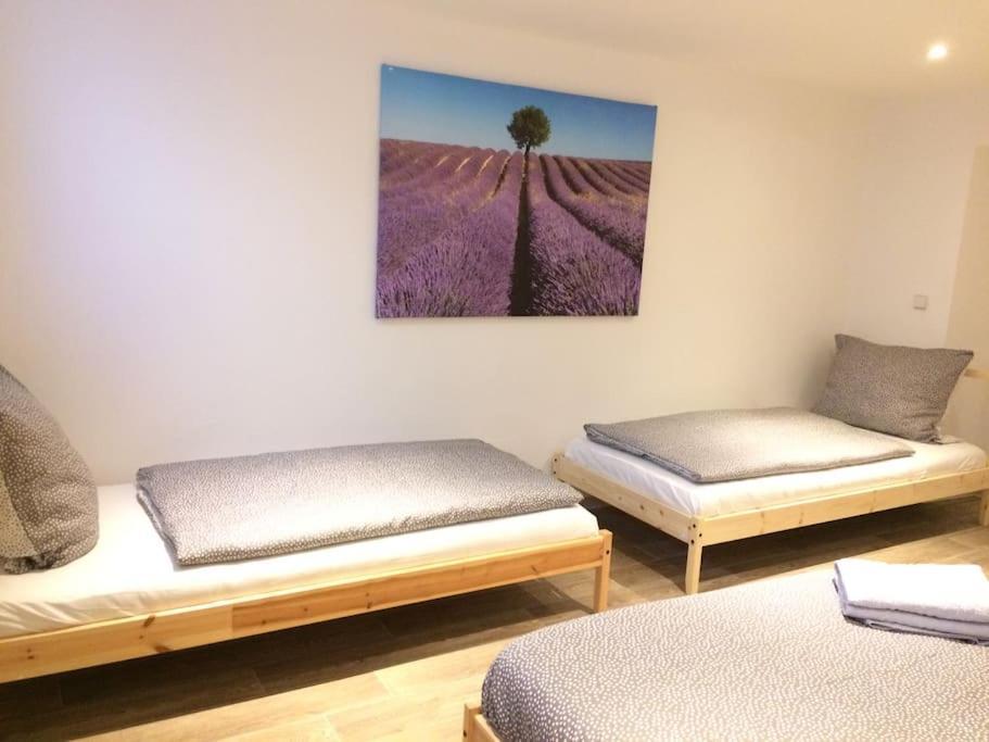 Cosy 3 In Neustadt Appartement Dresden